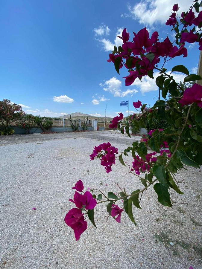 Leonidas Resort إرميوني المظهر الخارجي الصورة